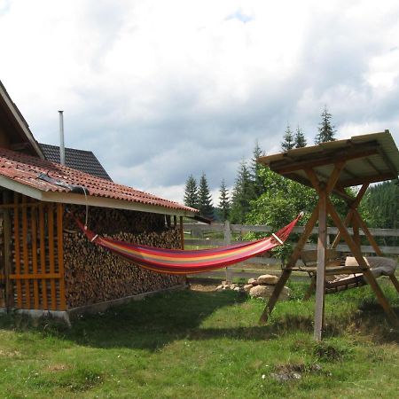 Podina Guest House Poiana Horea Exteriör bild