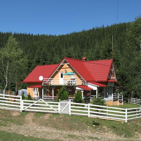 Podina Guest House Poiana Horea Exteriör bild