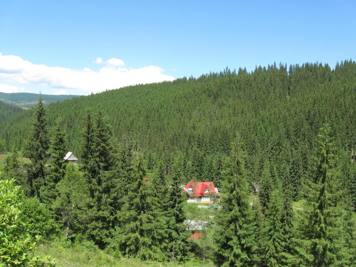 Podina Guest House Poiana Horea Exteriör bild