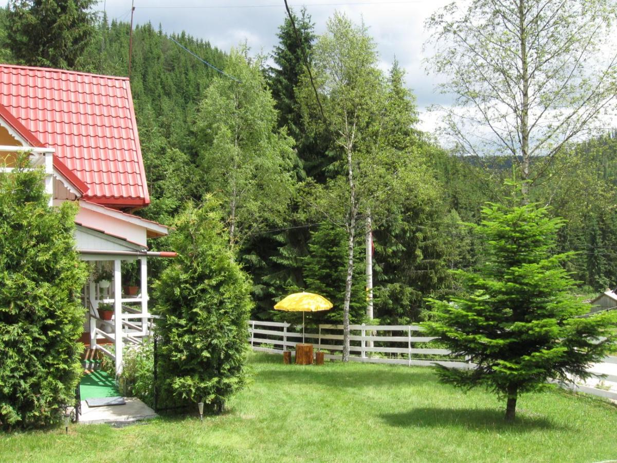 Podina Guest House Poiana Horea Exteriör bild