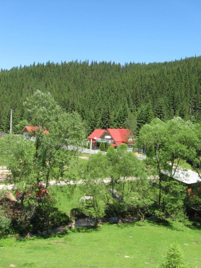 Podina Guest House Poiana Horea Exteriör bild