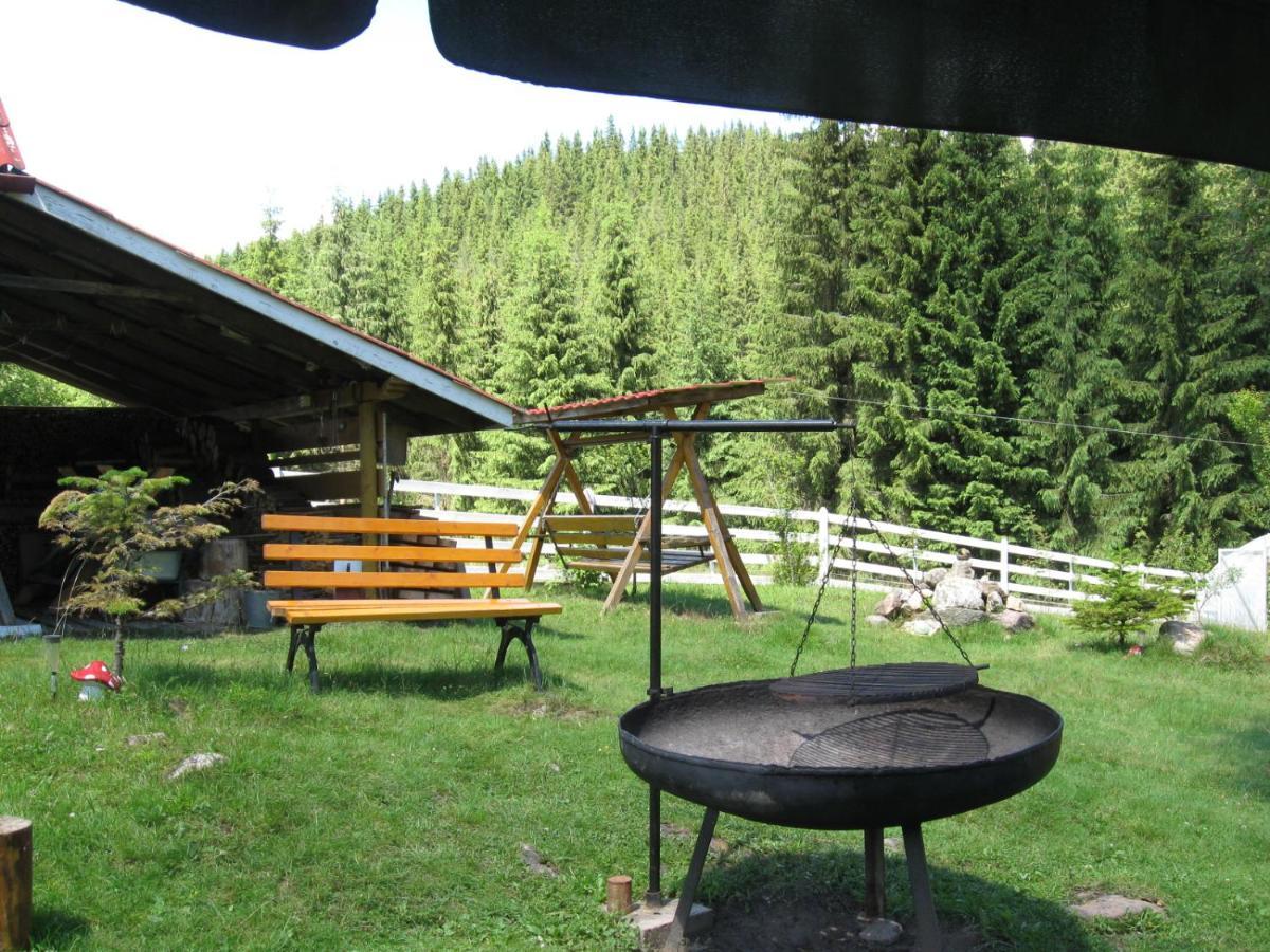 Podina Guest House Poiana Horea Exteriör bild